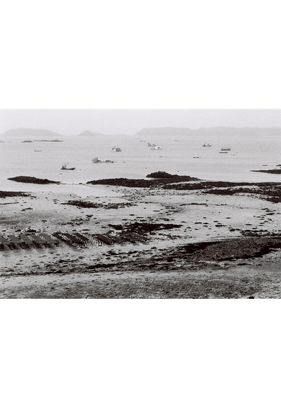 image perrine borges